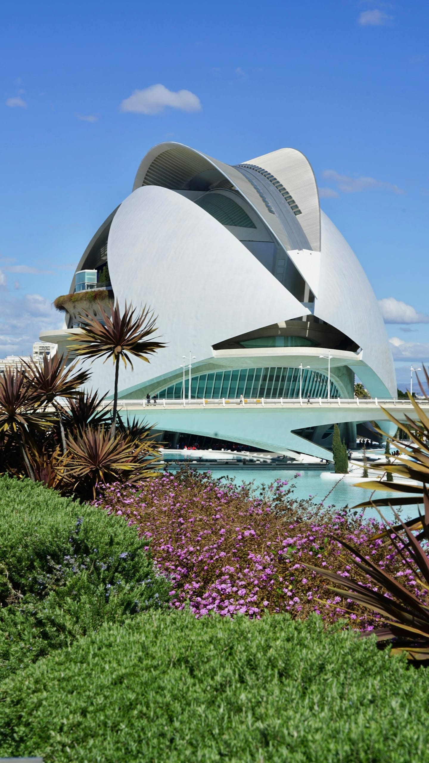 Rental returns in Valencia: the city’s modern City of Arts and Sciences