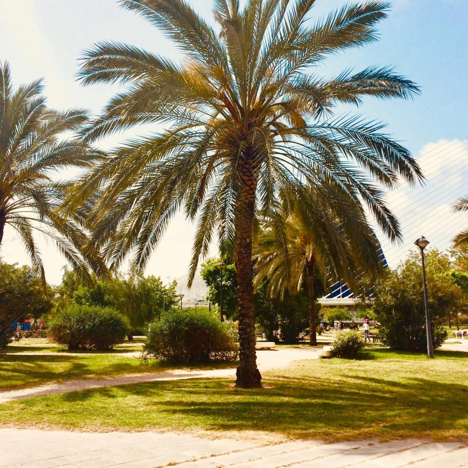 lynn-van-den-broeck-G5fCS-SVO4w-unsplash